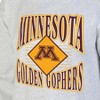 NCAA Minnesota Golden Gophers Men's Crew Neck Fleece Ash Sweatshirt - 3 of 3