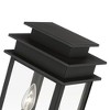 Livex Lighting Princeton 2 - Light Post Light in  Black/Polished Chrome Stainless Steel - 4 of 4