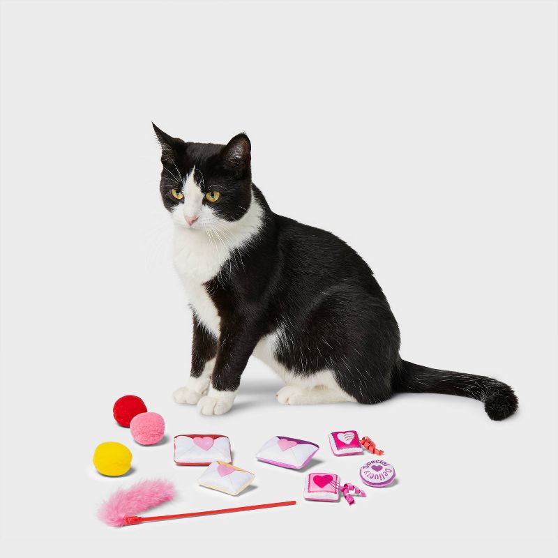 Valentines Gift Cat Toy Set - 10pc - Boots &#38; Barkley&#8482;, 4 of 7