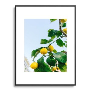 Bethany Young Photography Amalfi Coast Lemons 18"x24" Black Metal Framed Art Print - Deny Designs - 1 of 4