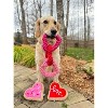 Midlee Interlocking Heart Rope Valentine Dog Toy - 6"- Pink Red Small Tug Toy - 4 of 4