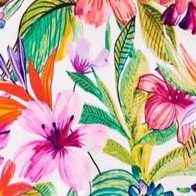 island bright tropical