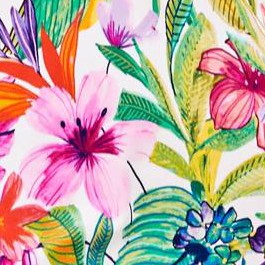 island bright tropical