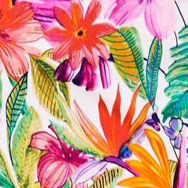 island bright tropical