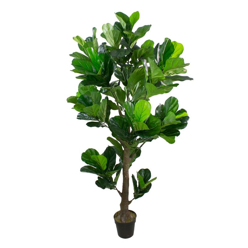 Northlight 6.25' Potted Two Tone Green Artificial Wide Fiddle Leaf Fig Tree, 1 of 5