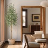 6ft Faux Olive Tree Potted in White Planter, Artificial Tree with 2 Natural Wood Trunks, Realistic Fake Floor Plant for Living Room, Home - 2 of 4