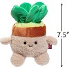 BumBumz 7.5" Succulent STU Plush - HomeBumz Plush - Officially Licensed - Collectible Soft Beanbag Stuffed Toy - Collect Them All! - Kids gifts - 3 of 3