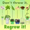 Science to the Max Regrow Science Lab - 4 of 4
