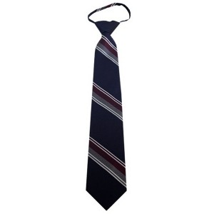 Men's Stripe 3.25 Inch W And 20 Inch L Zipper Neckties - 1 of 3