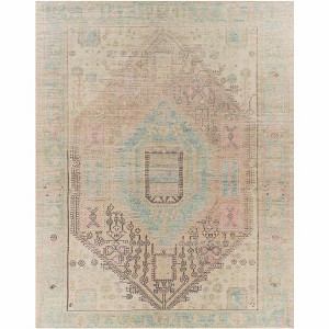 Hauteloom Rickinghall Peach&Sage Medallion Beige Rug - 1 of 4
