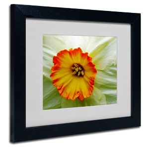 Trademark Fine Art - Kathie McCurdy 'Furnace Run Daffodil Large' Matted Framed - 1 of 3