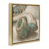 Stupell Industries Centered Sharkeye Seashell, 25" x 25" - 3 of 4