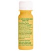 Vive Organic Pure Boost Ginger Shot - 2 fl oz - 4 of 4