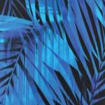blue electric palm