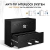 GALAXHERO 2 Drawer Wood Lateral File Cabinet with Anti-tilt Mechanism, Storage Filing Cabinet for Home Office, Black - 4 of 4