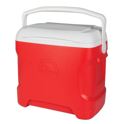 igloo contour cooler