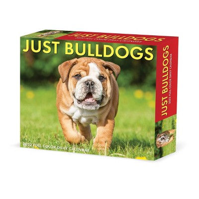 2022 Box Calendar Just Bulldogs - Willow Creek Press