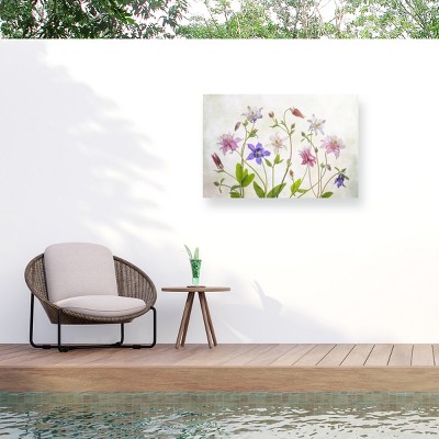 Trademark Fine Art - Mandy Disher Columbine Matted Framed Art