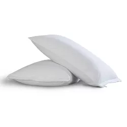2pk Pillow Protector with Bed Bug Blocker - Fresh Ideas