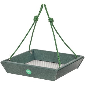 Birds Choice Color Pop Collection Recycled Plastic Hanging Tray Bird Feeder 11.25" - Evergreen: UV & Weather-Resistant - 1 of 4