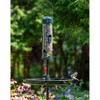 Brome Mega 600 Bird Feeder, Podium, and Pole, 6ft - 2 of 3