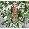 Primitives by Kathy Egg Basket Bunny Ornament - 3 of 4