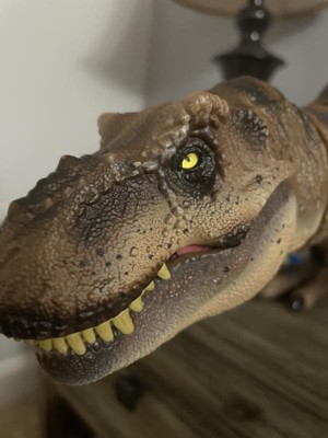 Mattel Jurassic World Toys Jurassic Park Hammond Collection T  Rex, Tyrannosaurus Rex Collector 24-in Dinosaur Figure, Deluxe Articulation  : Toys & Games