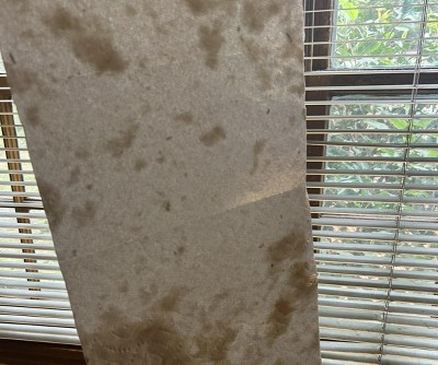 Guest review image 1 of 1, zoom in