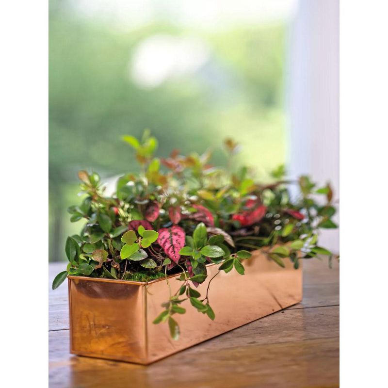 Gardener's Supply Company Rectangular Copper-Coated Stainless Steel Plant Tray | Leakproof Protects Surfaces Indoor Outdoor Plant Flower Succulent, 1 of 6