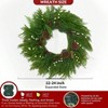 24 Inch Real Norfolk Pine Wreath with Lights Green Evergreen Outdoor Christmas Wreath Pine Cones and Berries - 3 of 4