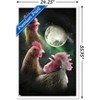Trends International James Booker - 3 Chicken Moon Framed Wall Poster Prints - 3 of 4