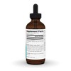 Wellness Elderberry Extract Liquid Extract by Source Naturals, Inc.  -  2 oz Liquid - 2 of 3
