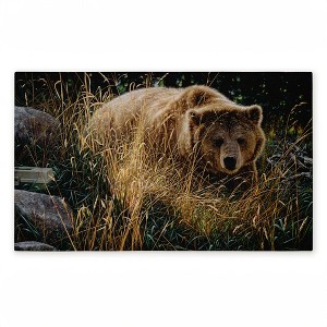 Stupell Industries Crossing Paths Brown Bear Printed Outdoor Door Mat, design by Collin Bogle, 18"x30" - 1 of 4