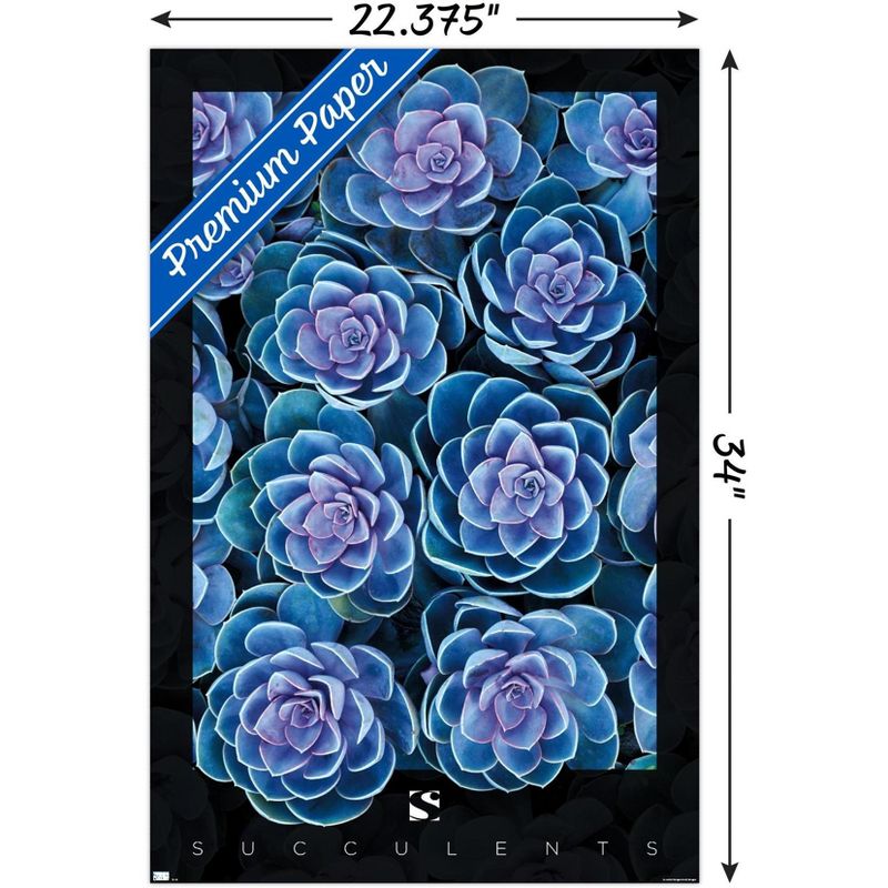 Trends International Succulents - Purple Unframed Wall Poster Prints, 3 of 7