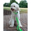 Country Brook Petz American Made Deluxe Nylon Dog Collar - 4 of 4