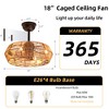 19" Rustic Caged Ceiling Fan with Woven Rope Shade, 4-Lamp Light Kit, 6-Speed Quiet Reversible DC Motor and Remote Control for Bedroom or Guest Room - 4 of 4