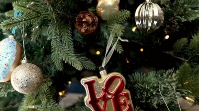 Colorful Glass Parrot Christmas Ornament Set, 2 Pieces