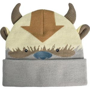 Nickelodean Adult Avatar The Last Airbender Winter Cuff Knit Beanie Hat - 1 of 4