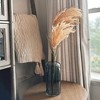 Sullivans Artificial Dried Reed Stem 48"H - 3 of 4