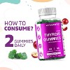 Thyroid Support with Kelp & Iodine - 60 Gummies - 4 of 4
