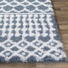 Hauteloom Camp Shag Area Rug - 4 of 4