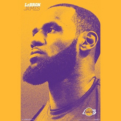 lebron james shoes in lakers