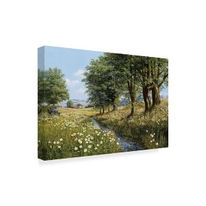 Trademark Fine Art -Bill Makinson 'Beeches And Daisies' Canvas Art - 1 of 3