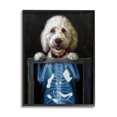 Stupell Industries Funny Dog X-Ray Snacks Framed Giclee