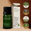 Gya Labs Organic Tea Tree Essential Oil, Organic Tea Tree Oil - 100% Pure Natural, Refreshing Aromatherapy, 0.34 Fl Oz - 2 of 4