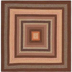 Braided BRD313 Machine Washable UV & Stain Resistant Non-Shedding Hand Woven Indoor Rugs - Safavieh - 1 of 4