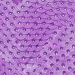 gradient purple