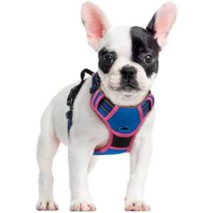 rabbitgoo Dog Harness No Pull with 2 Leash Clips, Control Handle for Large Dogs, Blue & Hot Pink, S - 1 of 1