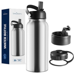 Brewberry Insulated Water Bottle and Travel Mug for Hot and Cold Beverages - 1 of 4