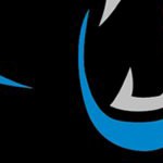 carolina panthers